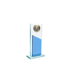HZ-298 KRİSTAL PLAKET HZ-298 KRİSTAL PLAKET